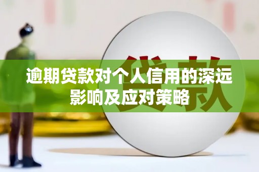 雷州逾期贷款对个人信用的深远影响及应对策略