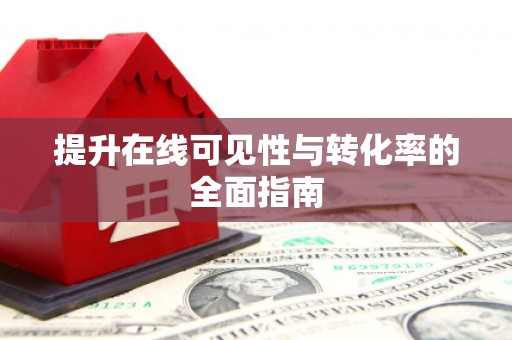 雷州提升在线可见性与转化率的全面指南