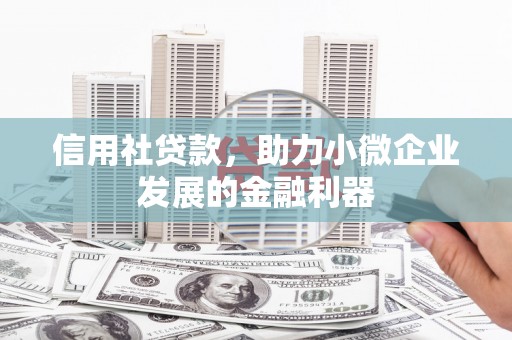 雷州信用社贷款，助力小微企业发展的金融利器