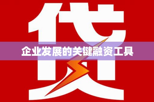 雷州企业发展的关键融资工具