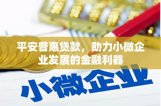 雷州平安普惠贷款，助力小微企业发展的金融利器