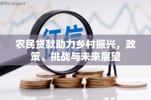 雷州农民贷款助力乡村振兴，政策、挑战与未来展望