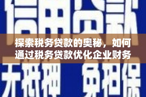 雷州探索税务贷款的奥秘，如何通过税务贷款优化企业财务