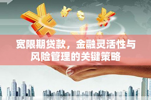 雷州宽限期贷款，金融灵活性与风险管理的关键策略