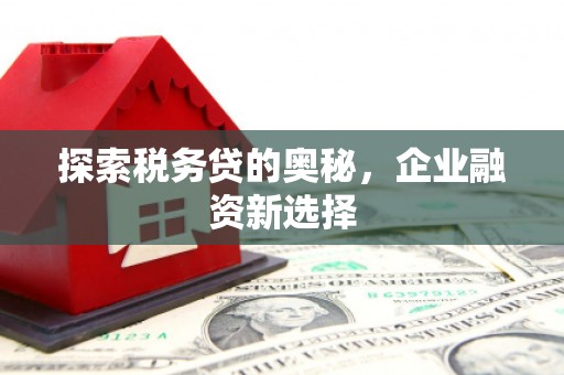 雷州探索税务贷的奥秘，企业融资新选择