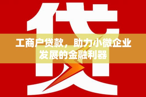 雷州工商户贷款，助力小微企业发展的金融利器