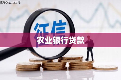 雷州农业银行贷款