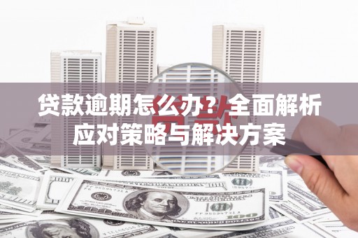 雷州贷款逾期怎么办？全面解析应对策略与解决方案