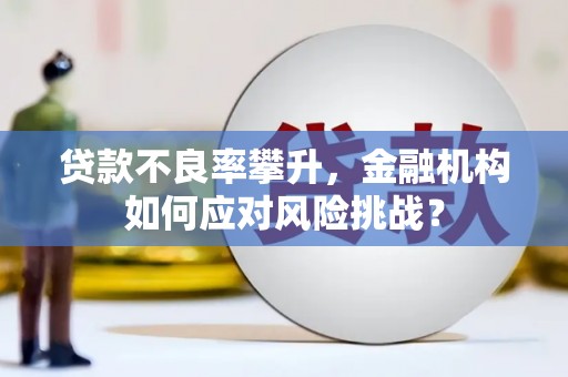 雷州贷款不良率攀升，金融机构如何应对风险挑战？