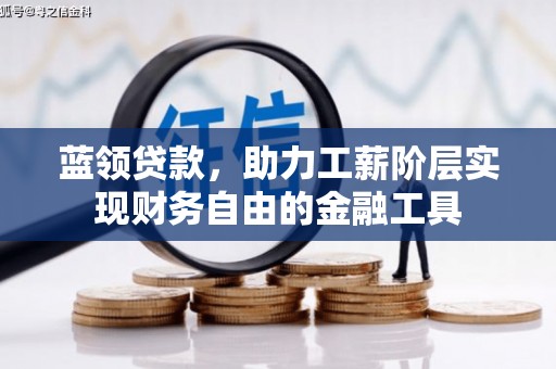 雷州蓝领贷款，助力工薪阶层实现财务自由的金融工具