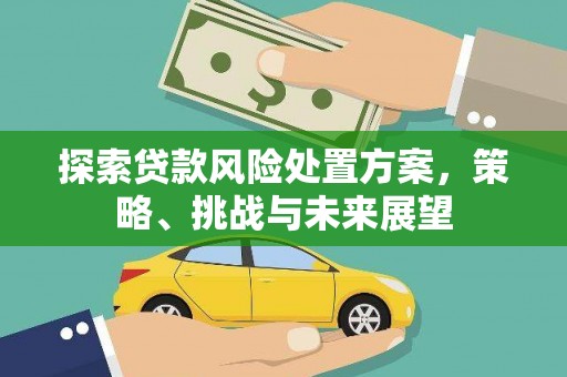雷州探索贷款风险处置方案，策略、挑战与未来展望