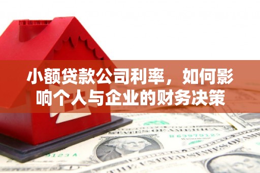 雷州小额贷款公司利率，如何影响个人与企业的财务决策