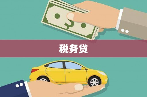 雷州税务贷