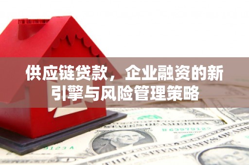 雷州供应链贷款，企业融资的新引擎与风险管理策略