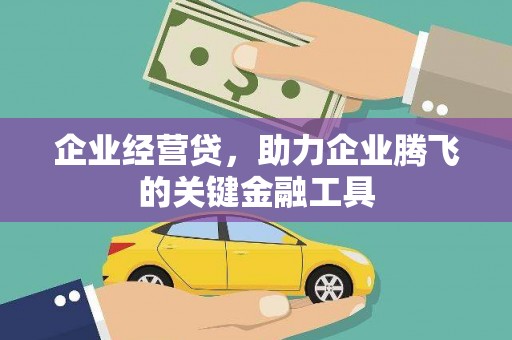 雷州企业经营贷，助力企业腾飞的关键金融工具