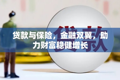 雷州贷款与保险，金融双翼，助力财富稳健增长