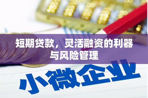 雷州短期贷款，灵活融资的利器与风险管理