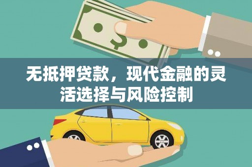 雷州无抵押贷款，现代金融的灵活选择与风险控制