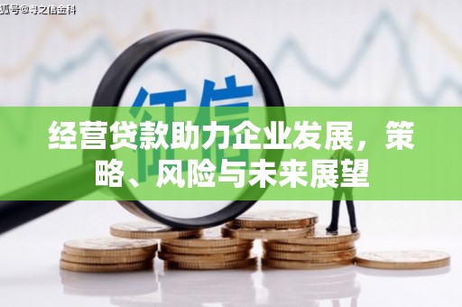 雷州经营贷款助力企业发展，策略、风险与未来展望
