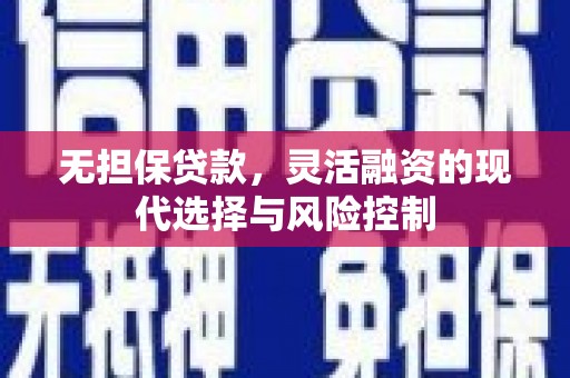 雷州无担保贷款，灵活融资的现代选择与风险控制