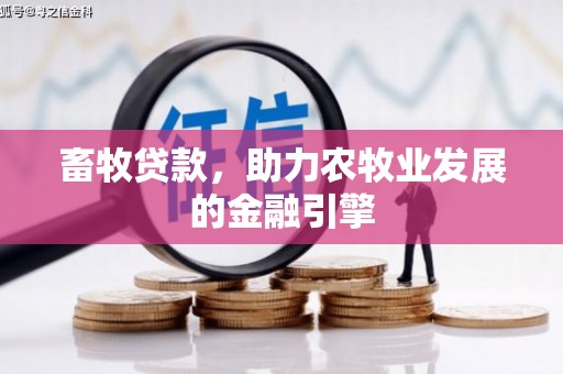 雷州畜牧贷款，助力农牧业发展的金融引擎