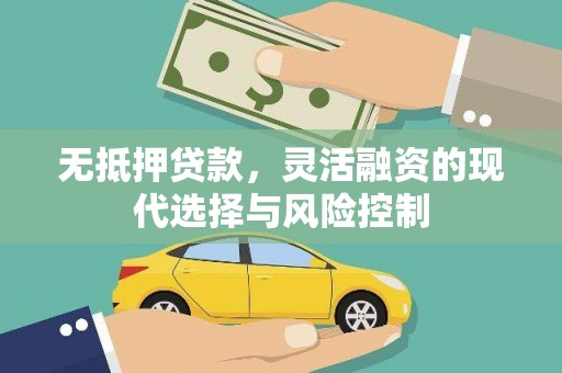 雷州无抵押贷款，灵活融资的现代选择与风险控制