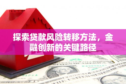 雷州探索贷款风险转移方法，金融创新的关键路径