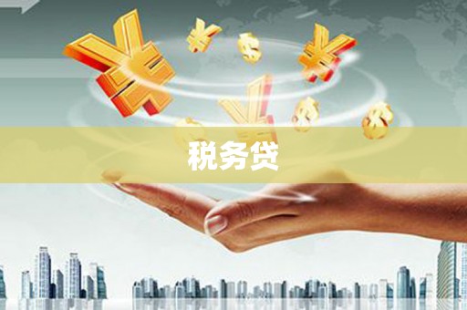 雷州税务贷