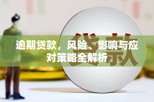 雷州逾期贷款，风险、影响与应对策略全解析