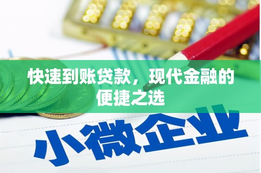 雷州快速到账贷款，现代金融的便捷之选