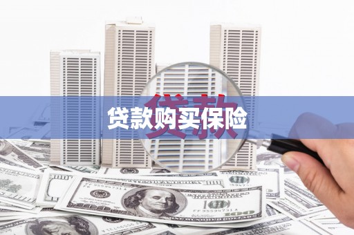 雷州贷款购买保险