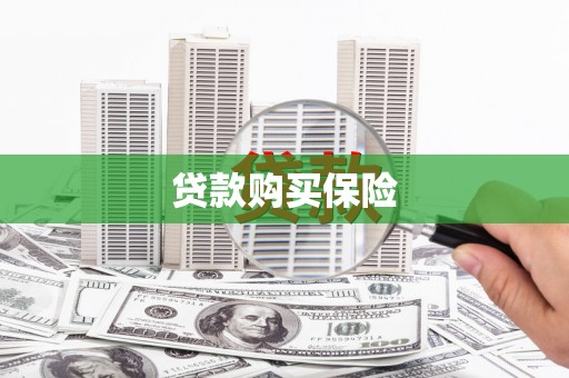 雷州贷款购买保险