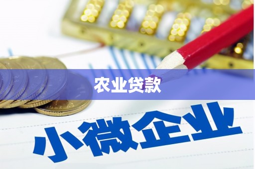 雷州农业贷款