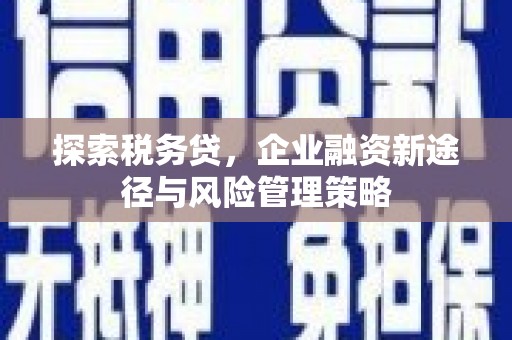 雷州探索税务贷，企业融资新途径与风险管理策略