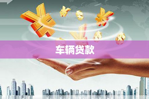 雷州车辆贷款