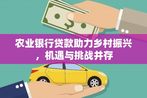 雷州农业银行贷款助力乡村振兴，机遇与挑战并存