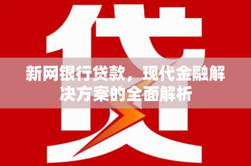 雷州新网银行贷款，现代金融解决方案的全面解析