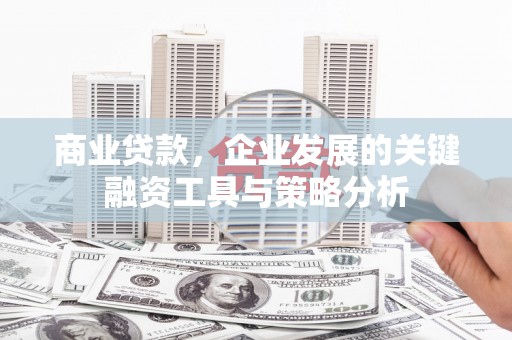 雷州商业贷款，企业发展的关键融资工具与策略分析