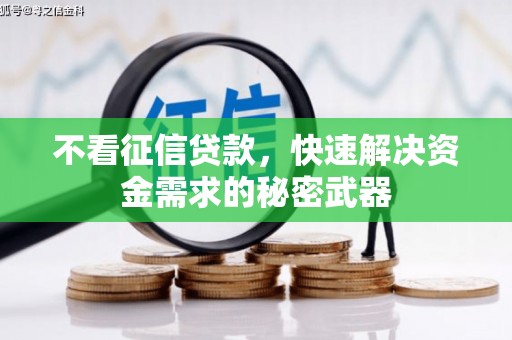 雷州不看征信贷款，快速解决资金需求的秘密武器