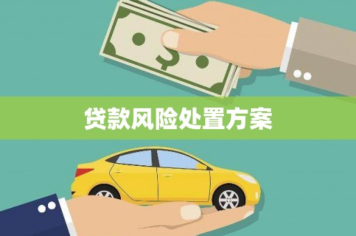 雷州贷款风险处置方案
