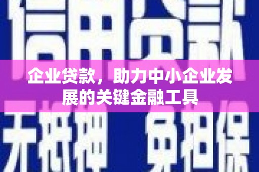 雷州企业贷款，助力中小企业发展的关键金融工具