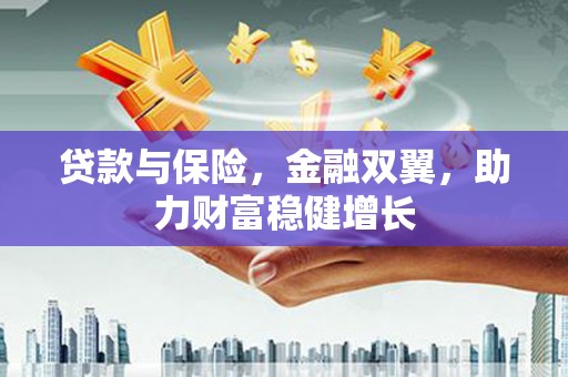 雷州贷款与保险，金融双翼，助力财富稳健增长