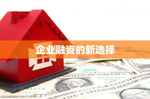 雷州企业融资的新选择