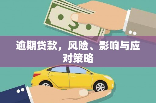 雷州逾期贷款，风险、影响与应对策略