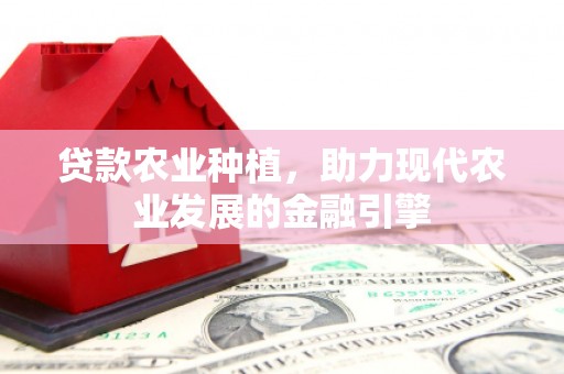 雷州贷款农业种植，助力现代农业发展的金融引擎
