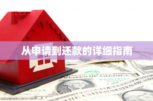 雷州从申请到还款的详细指南