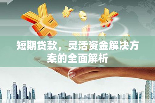 雷州短期贷款，灵活资金解决方案的全面解析