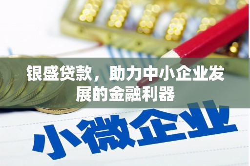 雷州银盛贷款，助力中小企业发展的金融利器