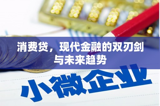 雷州消费贷，现代金融的双刃剑与未来趋势