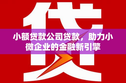 雷州小额贷款公司贷款，助力小微企业的金融新引擎